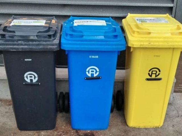 Programul de colectare al deșeurilor reciclabile în Comuna Preutești